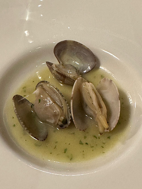 green clams