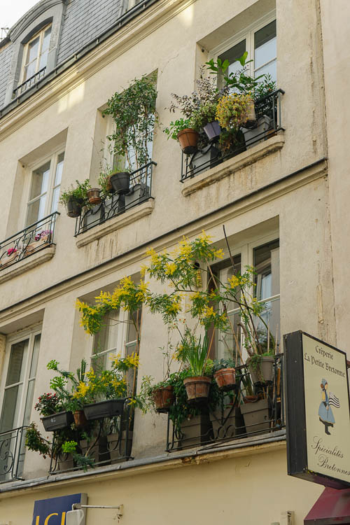 medieval street Paris