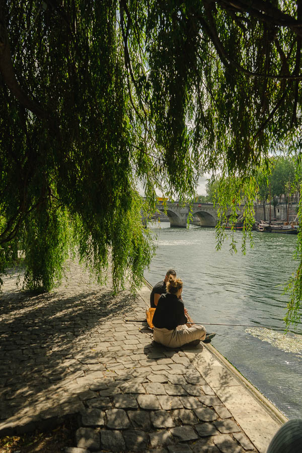 picnic Pont Neuf